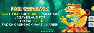 SlotsPK APK 5