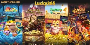 Lucky365 Game APK 3 Lucky365 Game